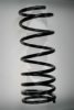 SPIDAN 55928 Coil Spring